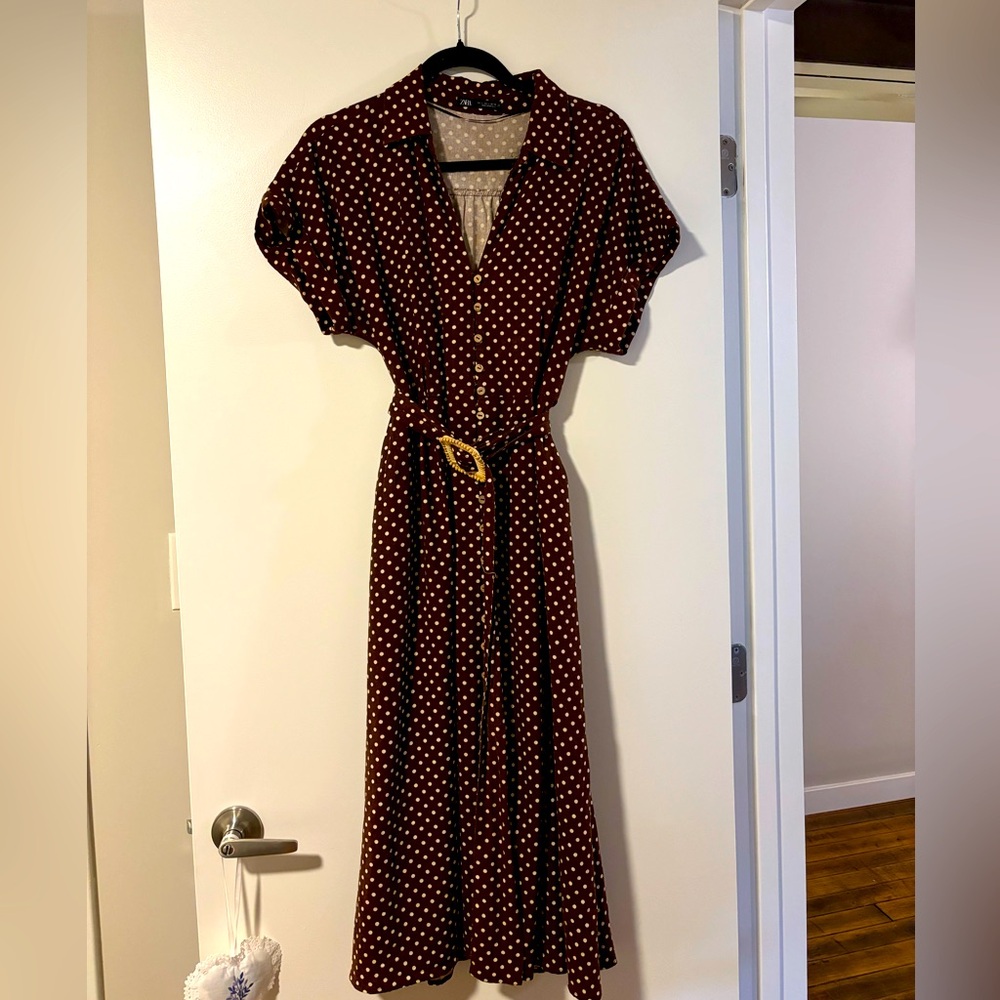 Zara Brown Polka Dot Midi Shirt Dress